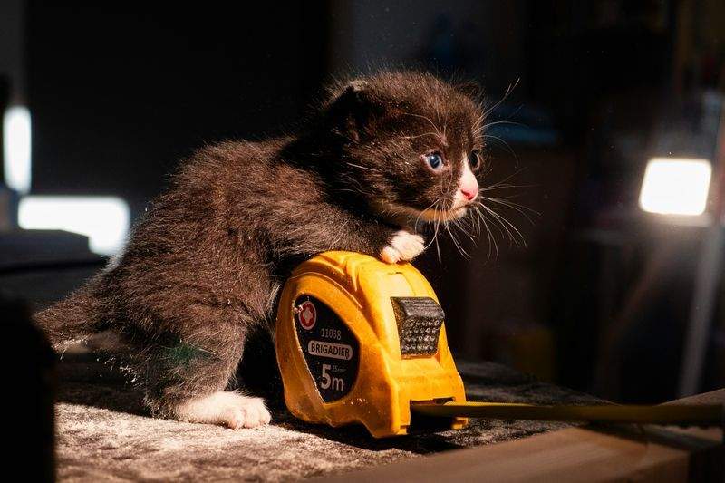 木工匠心株式会社 - Image 7